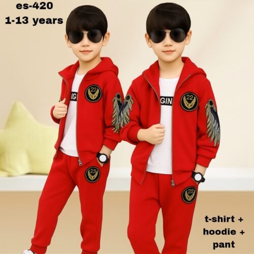 Stylish t-shirt + hoodie+pant combo for winter Es-420