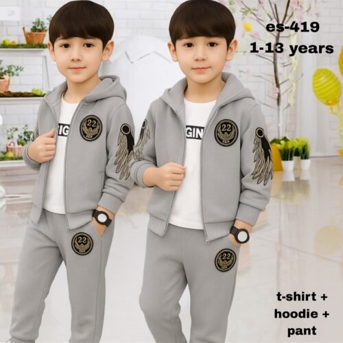 Stylish t-shirt + hoodie+pant combo for winter Es-419